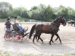 IMG_1184_web